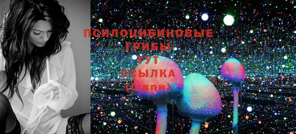 не бодяженный Осинники