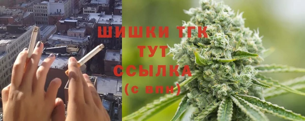 СК Пестово